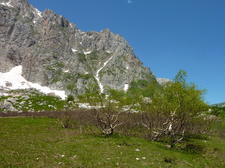 Дерево на горе фото от СВ-Астур