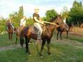 Конные прогулки для желающих