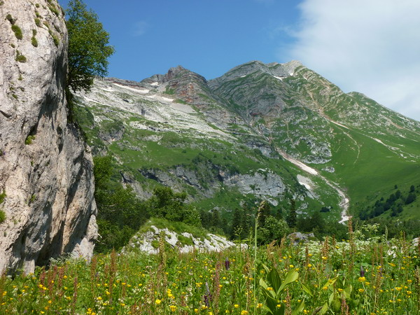 Природа неповторима и разнообразна на маршруте 30