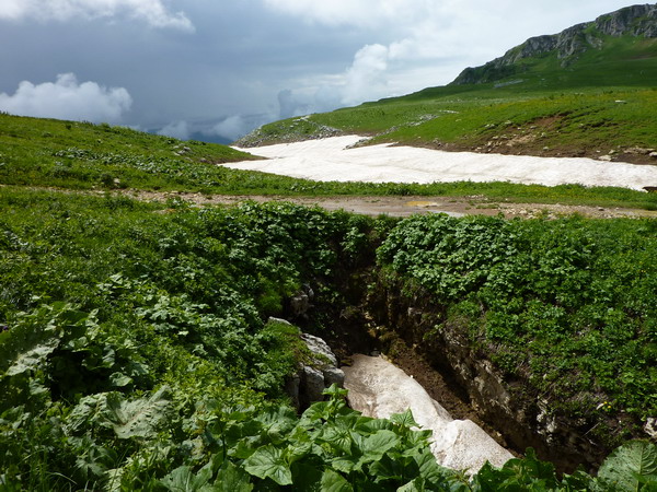 Природа Лагонаки, маршрут 30 через Лагонаки на море