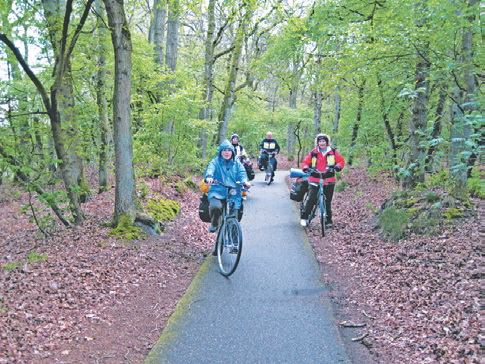 Голландия, велодорожка в лесу
