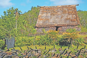 Фиджи.Типичный фиджийский дом