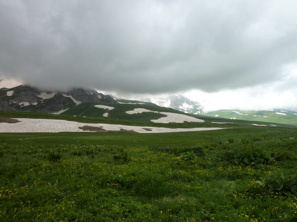 Альпийские луга в Адыгее, нагорье Лагонаки