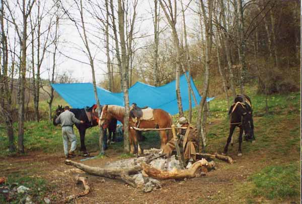 Конный поход в Крыму