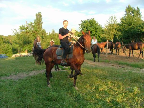 Прогулка на лошадях