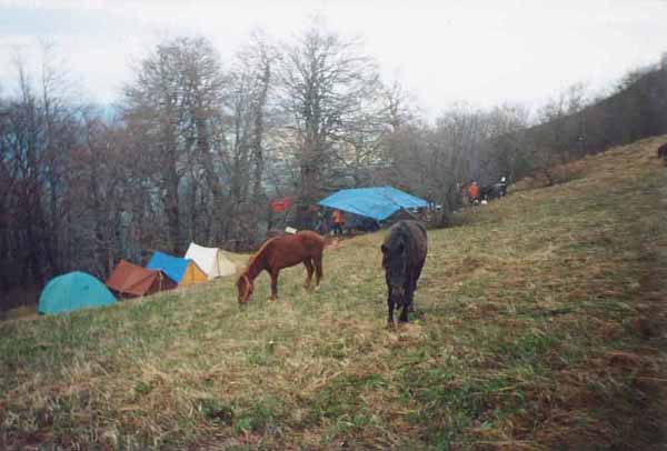 Конный маршрут в Крыму