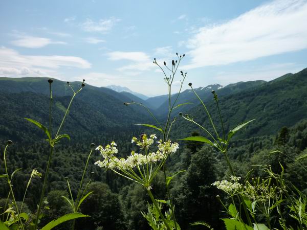 Природа на маршруте 30