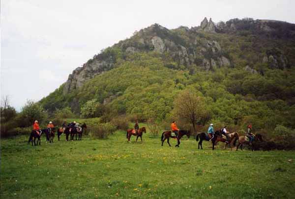 Конные туры по Крыму