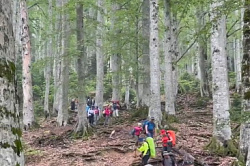 Видео с маршрута 30 через горы к морю