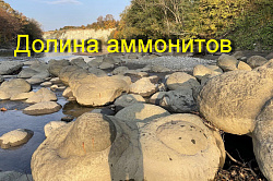 Долина аммонитов в Адыгее, аммониты реки Белой