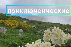 Туры в горах Адыгеи, активный отдых в Адыгее