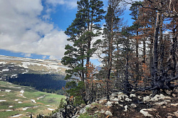 Плато Лагонаки, Адыгея
