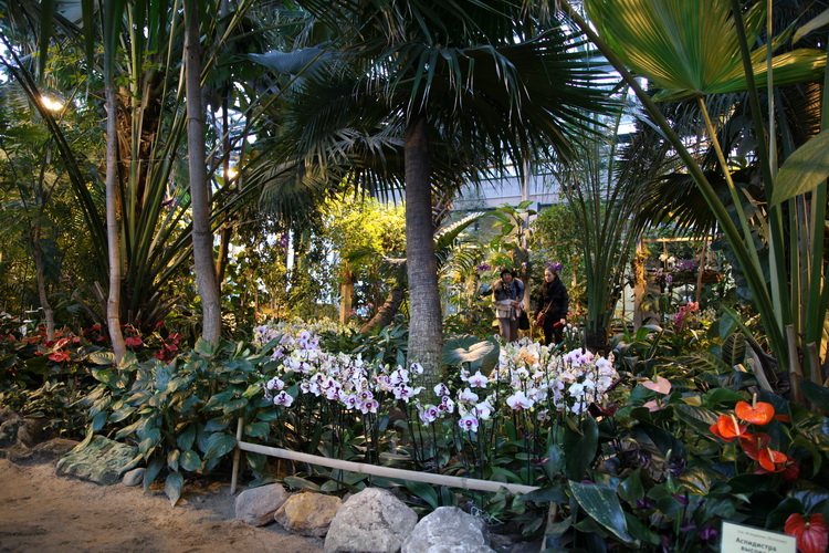 Ботанический сад МГУ "Аптекарский огород" фото от СВ-Астур